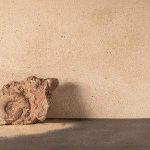 Platter-Patrick-Bau-00005